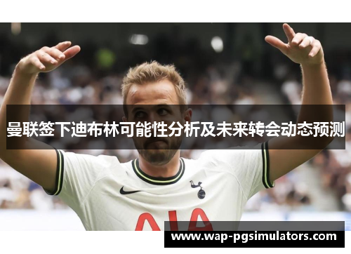 曼联签下迪布林可能性分析及未来转会动态预测