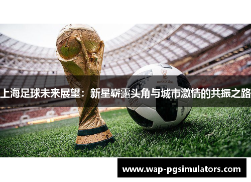 上海足球未来展望：新星崭露头角与城市激情的共振之路