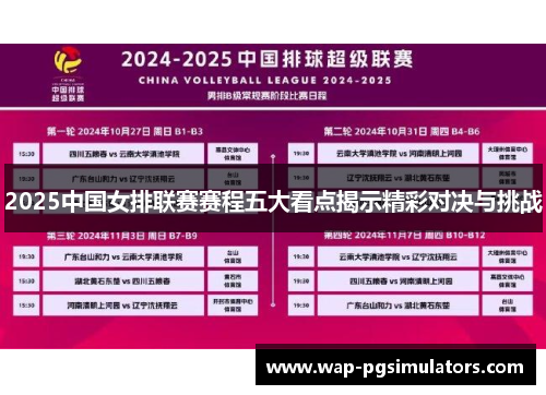 2025中国女排联赛赛程五大看点揭示精彩对决与挑战