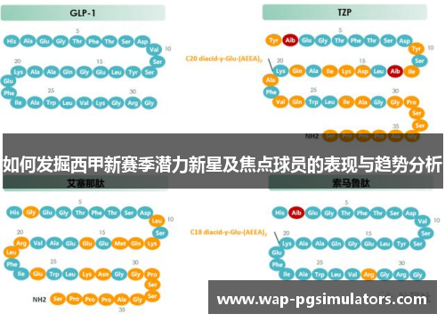 如何发掘西甲新赛季潜力新星及焦点球员的表现与趋势分析