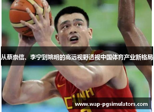 从蔡崇信、李宁到姚明的高远视野透视中国体育产业新格局