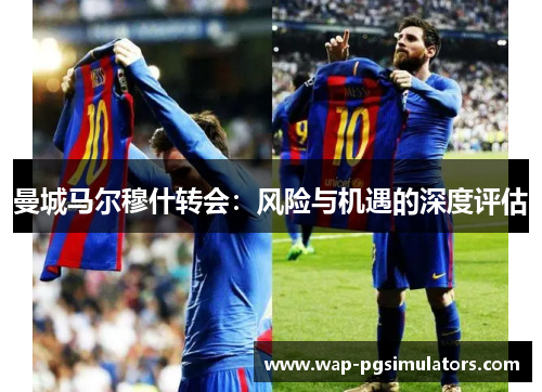 曼城马尔穆什转会：风险与机遇的深度评估