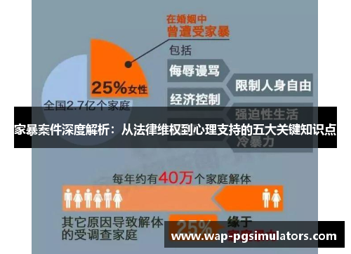 家暴案件深度解析：从法律维权到心理支持的五大关键知识点