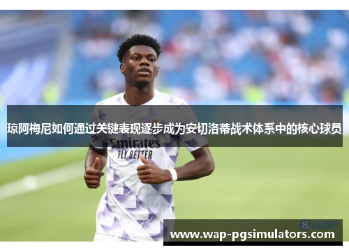 琼阿梅尼如何通过关键表现逐步成为安切洛蒂战术体系中的核心球员 琼阿梅尼如何通过关键表现逐步成为安切洛蒂战术体系中的核心球员