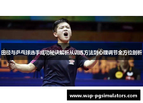 田径与乒乓球选手成功秘诀解析从训练方法到心理调节全方位剖析