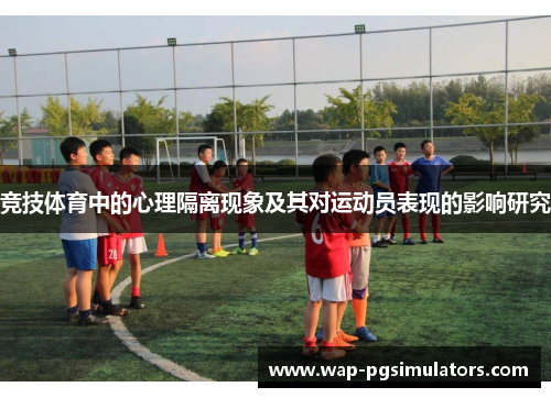 竞技体育中的心理隔离现象及其对运动员表现的影响研究