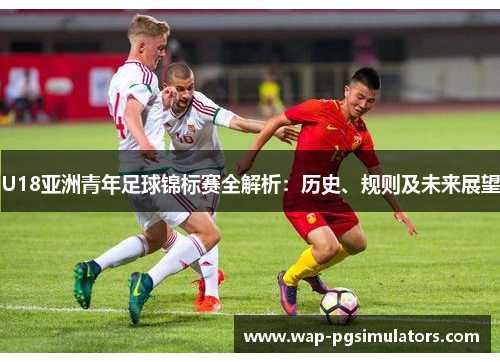 U18亚洲青年足球锦标赛全解析：历史、规则及未来展望