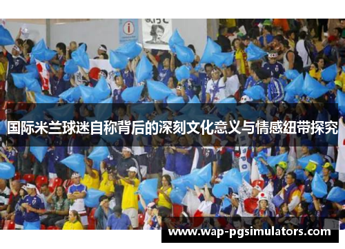 国际米兰球迷自称背后的深刻文化意义与情感纽带探究