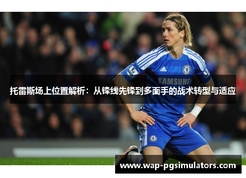 托雷斯场上位置解析：从锋线先锋到多面手的战术转型与适应