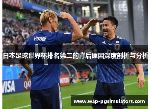 日本足球世界杯排名第二的背后原因深度剖析与分析