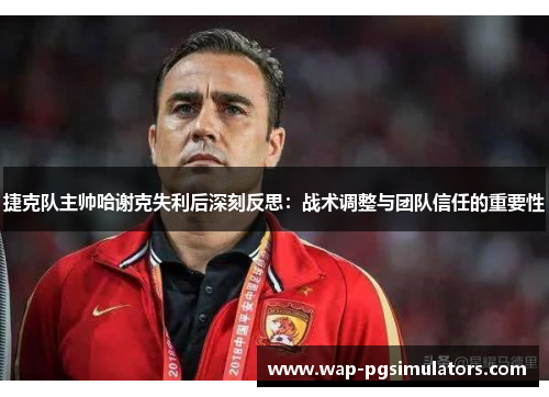 捷克队主帅哈谢克失利后深刻反思：战术调整与团队信任的重要性