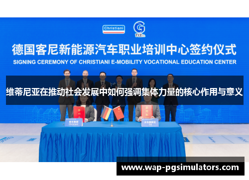 维蒂尼亚在推动社会发展中如何强调集体力量的核心作用与意义