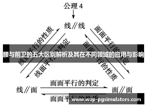 腰与前卫的五大区别解析及其在不同领域的应用与影响
