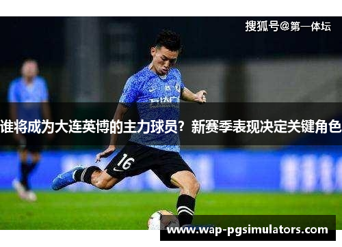 谁将成为大连英博的主力球员？新赛季表现决定关键角色