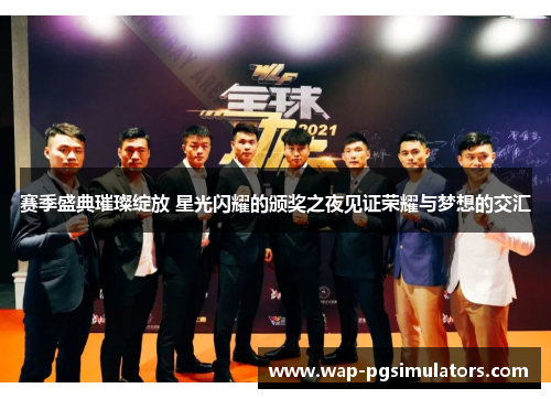赛季盛典璀璨绽放 星光闪耀的颁奖之夜见证荣耀与梦想的交汇