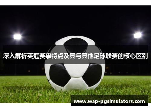 深入解析英冠赛事特点及其与其他足球联赛的核心区别