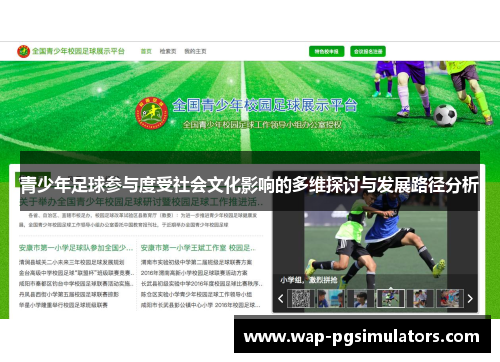 青少年足球参与度受社会文化影响的多维探讨与发展路径分析