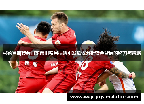 马德鲁加转会山东泰山费用揭晓引发热议分析转会背后的财力与策略 马德鲁加转会山东泰山费用揭晓引发热议分析转会背后的财力与策略