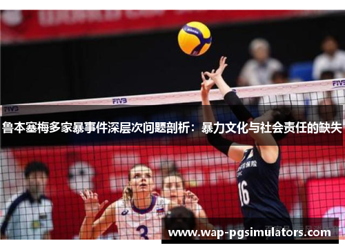 鲁本塞梅多家暴事件深层次问题剖析：暴力文化与社会责任的缺失