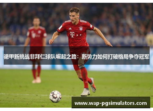 德甲新挑战非拜仁球队崛起之路：新势力如何打破格局争夺冠军