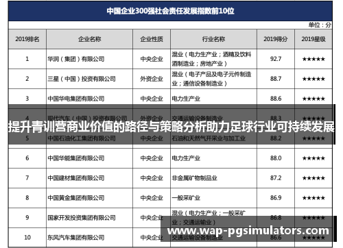 提升青训营商业价值的路径与策略分析助力足球行业可持续发展