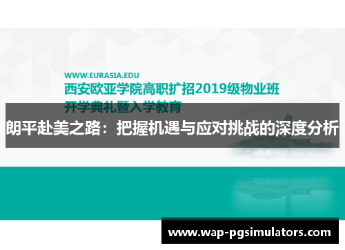 朗平赴美之路：把握机遇与应对挑战的深度分析