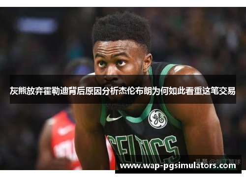灰熊放弃霍勒迪背后原因分析杰伦布朗为何如此看重这笔交易