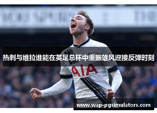 热刺与维拉谁能在英足总杯中重振雄风迎接反弹时刻