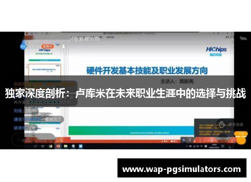 独家深度剖析：卢库米在未来职业生涯中的选择与挑战