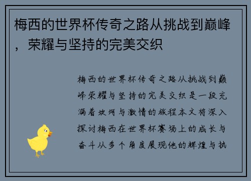 梅西的世界杯传奇之路从挑战到巅峰，荣耀与坚持的完美交织